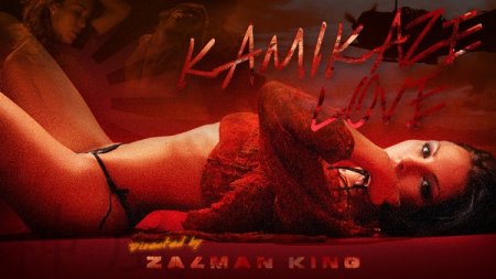 Kamikaze Love (2012)