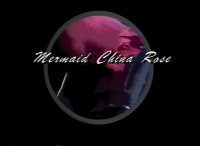 Mermaid of China Rose (1993)